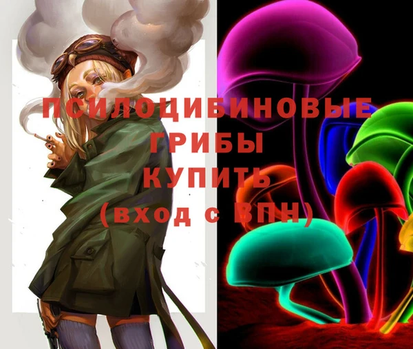 прущая мука Надым