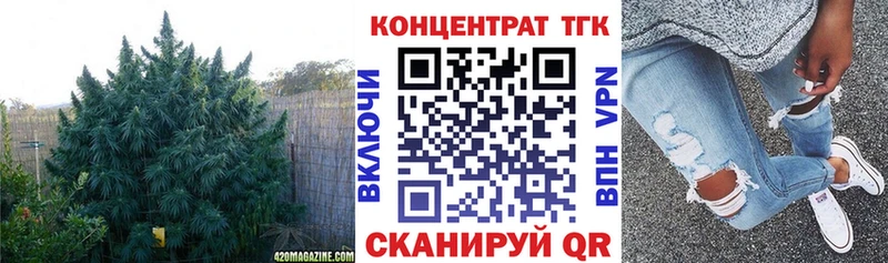 купить  сайты  Отрадная  МЕГА как войти  площадка Telegram  Дистиллят ТГК THC oil 